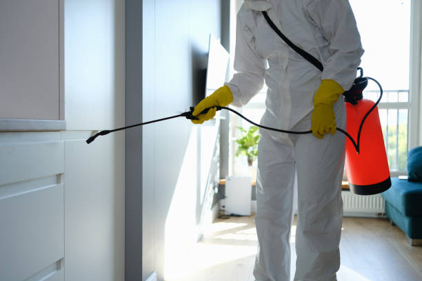 Best Residential Mold Removal  in Elizabeth City, NC