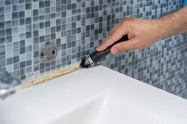Best Mold Testing  in Elizabeth City, NC